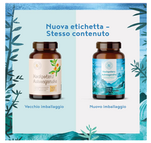 Carica l'immagine nel visualizzatore di Gallery, ASHWAGANDHA - Integratore Vegano Naturale di Ginseng Indiano - Estratto di Ashwagandha di elevata potenza - 100 capsule vegane