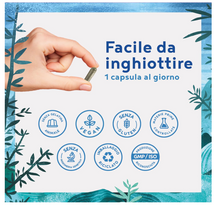 Carica l'immagine nel visualizzatore di Gallery, ASHWAGANDHA - Integratore Vegano Naturale di Ginseng Indiano - Estratto di Ashwagandha di elevata potenza - 100 capsule vegane