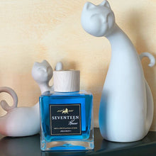 Carica l'immagine nel visualizzatore di Gallery, Biella 369 DAVIDALE - Il Profumo della Baraggia di Candelo 500 ML - PROFUMO AMBIENTE CONCENTRATO