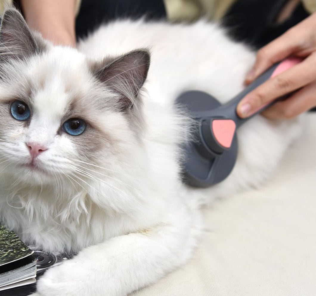 Spazzola per Gatti e Cani