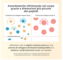 Carica l&#39;immagine nel visualizzatore di Gallery, Collagene in Polvere - Collagene e Acido Ialuronico, Integratore Collagene da Bere - Collagene Idrolizzato – NON AROMATIZZATO – 400g - Integratori per Capelli, Pelle, Articolazioni
