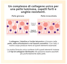 Carica l&#39;immagine nel visualizzatore di Gallery, Collagene in Polvere - Collagene e Acido Ialuronico, Integratore Collagene da Bere - Collagene Idrolizzato – NON AROMATIZZATO – 400g - Integratori per Capelli, Pelle, Articolazioni
