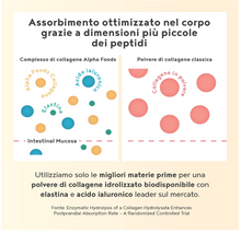 Carica l&#39;immagine nel visualizzatore di Gallery, Collagene Acido Ialuronico con Elastina Marina - Collagene idrolizzato puro – Cioccolato – Collagene da Bere 400g, Collagene in Polvere - Integratore Articolazioni, Pelle e Capelli
