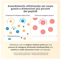 Carica l&#39;immagine nel visualizzatore di Gallery, Collagene Acido Ialuronico, Integratore con Elastina Marina - Collagene da Bere Idrolizzato – Vaniglia – Collagene in Polvere 400g - Integratori per Capelli, Pelle e Articolazioni
