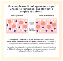 Carica l&#39;immagine nel visualizzatore di Gallery, Collagene Acido Ialuronico, Integratore con Elastina Marina - Collagene da Bere Idrolizzato – Vaniglia – Collagene in Polvere 400g - Integratori per Capelli, Pelle e Articolazioni
