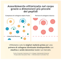 Carica l&#39;immagine nel visualizzatore di Gallery, Collagene Acido Ialuronico Integratore con Collagene Marino - Collagene in Polvere Idrolizzato Puro – Pompelmo Rosa – Collagene da Bere 400g - Integratore Pelle e Articolazioni
