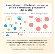 Carica l&#39;immagine nel visualizzatore di Gallery, Collagene in Polvere con Elastina Marina, Cheratina e Silicea - Idrolizzato di Collagene e Acido Ialuronico - Collagene da Bere Sapore Neutro - 400g Integratori per Capelli e Pelle
