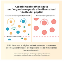 Carica l&#39;immagine nel visualizzatore di Gallery, Morning Glow Collagene in Polvere - Collagene da Bere per il Mattino con Guaranà - Collagene e Acido Ialuronico con Vitamina E e C - Integratore con Acido Ialuronico per Pelle, Articolazioni &amp; Ossa
