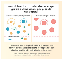 Carica l&#39;immagine nel visualizzatore di Gallery, Green Collagen – Cocco e Ananas - Collagene Marino con Acido Ialuronico e Elastina - Collagene Idrolizzato, Integratori per Capelli, Pelle e Articolazioni - 400g Collagene in Polvere
