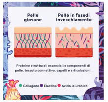 Carica l&#39;immagine nel visualizzatore di Gallery, Collagene Marino con Acido Ialuronico e Elastina - 160 Capsule - Integratori Collagene e Acido Ialuronico Compresse per Pelle, Capelli e Unghie - Collagene Acido Ialuronico Integratore
