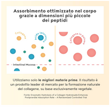 Carica l&#39;immagine nel visualizzatore di Gallery, COLLAGENE VEGANO - Supporto vegano alla formazione del Collagene con Acido Ialuronico – NON AROMATIZZATO - alternativa vegetale, collagene da bere – 400 gr Collagene in Polver
