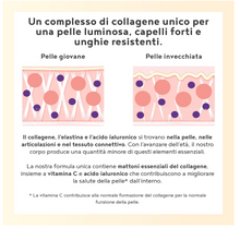 Carica l&#39;immagine nel visualizzatore di Gallery, COLLAGENE VEGANO - Supporto vegano alla formazione del Collagene con Acido Ialuronico – NON AROMATIZZATO - alternativa vegetale, collagene da bere – 400 gr Collagene in Polver
