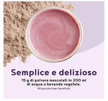 Carica l&#39;immagine nel visualizzatore di Gallery, Proteine Vegane - MIRTILLO - Proteine vegetali di soia, piselli e semi - Proteine in Polvere pre workout and post workout - integratori palestra - 600g vegan protein
