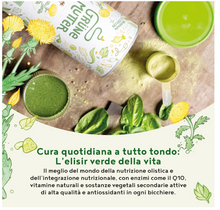 Carica l&#39;immagine nel visualizzatore di Gallery, Green Mother Frullato in Polvere – con Vitamine a base di Erba di Grano, Ortica, Cardo Mariano con Coenzima Q10 – Multivitaminico Completo e Naturale, 600g
