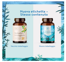 Carica l&#39;immagine nel visualizzatore di Gallery, ASHWAGANDHA - Integratore Vegano Naturale di Ginseng Indiano - Estratto di Ashwagandha di elevata potenza - 100 capsule vegane
