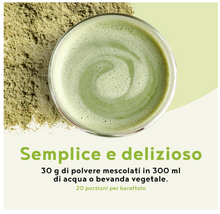 Carica l&#39;immagine nel visualizzatore di Gallery, Frullato Proteico THE MATCHA alla VANIGLIA - 600g proteine in polvere - pasto vegano, ricco di vitamine e nutrienti - per colazioni sane. Energia a lungo rilascio
