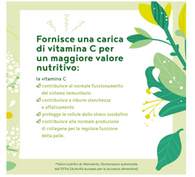 Carica l&#39;immagine nel visualizzatore di Gallery, Water Booster - Acqua Aromatizzata ai Fiori di Sambuco con Vitamina C - Naturalmente Deliziosa, a Basso contenuto Calorico e Senza Zuccheri Aggiunti - 12x2,5 g in polvere
