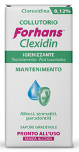 Carica l&#39;immagine nel visualizzatore di Gallery, Forhans Clorexidina, Collutorio Clexidin 0,12%, Antisettico, Azione di Mantenimento per Infiammazioni o Infezioni del Cavo Orale Post Intervento, Senza Alcol, Sapore Gradevole, 200 ml
