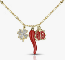 Carica l&#39;immagine nel visualizzatore di Gallery, SAGA GIOIELLI® Collana Donna Portafortuna Quadrifoglio Corno Coccinella Acciaio Confezione Regalo
